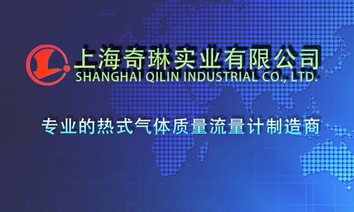 上海奇琳實(shí)業(yè)有限公司